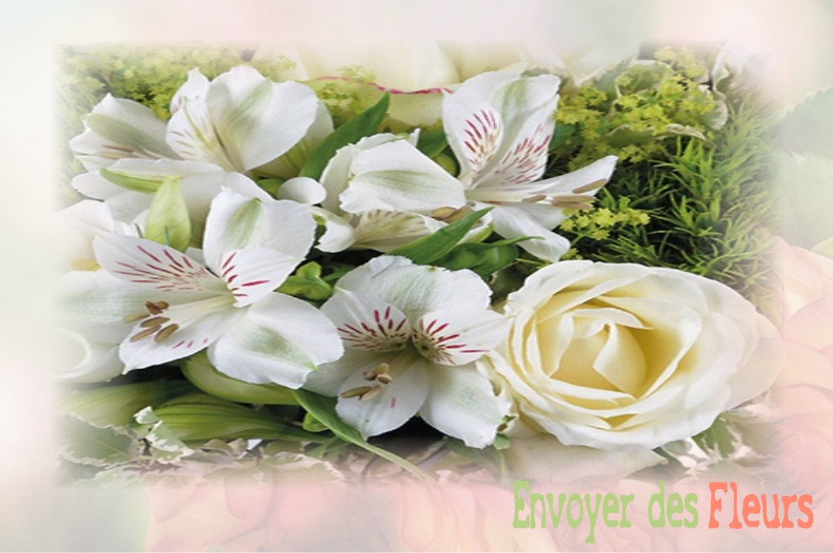envoyer des fleurs à à PALAVAS-LES-FLOTS